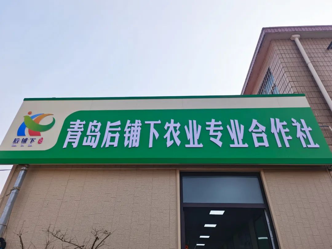 微信图片_20240108092112.jpg