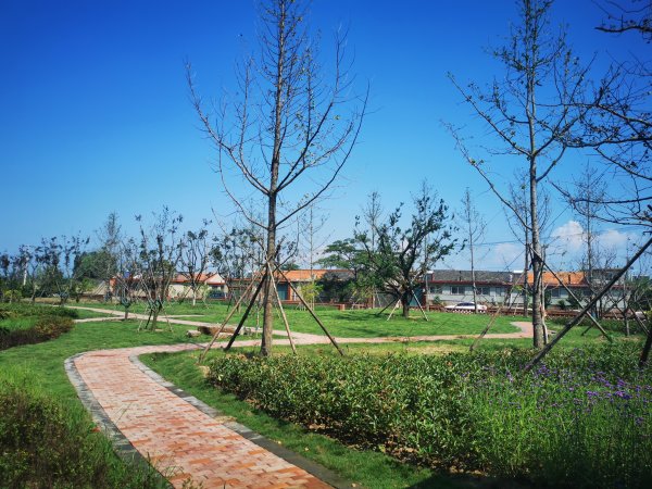 东河北村南游园一角.jpg