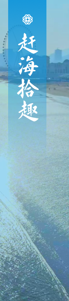 赶海拾趣
